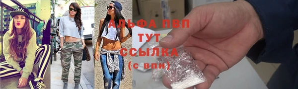 гашик Богородицк