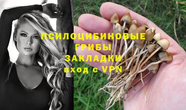 гашик Богородицк