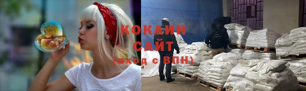 mdpv Богородск