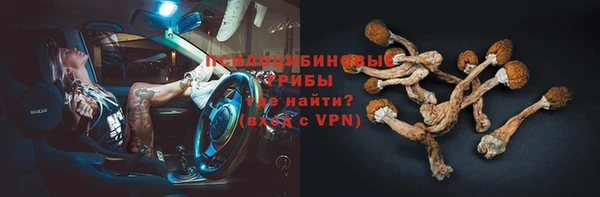 mdpv Богородск
