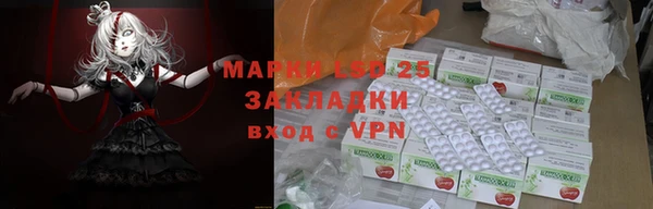 mdpv Богородск