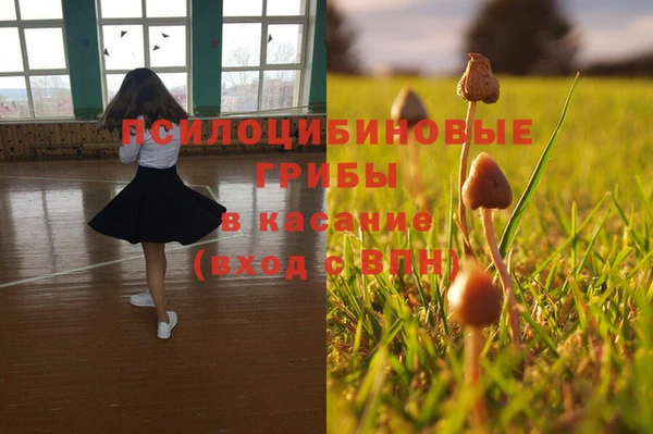 гашик Богородицк