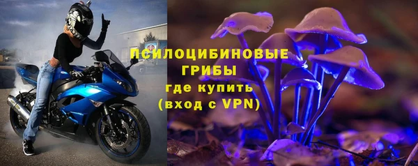 гашик Богородицк