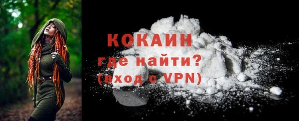 mdpv Богородск