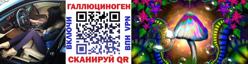 Псилоцибиновые грибы мицелий  как найти   Мглин 